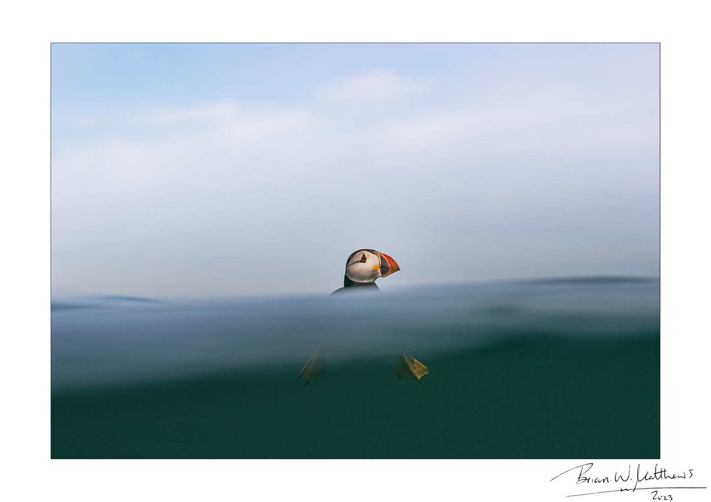 Puffin Print - Top of the wave A4
