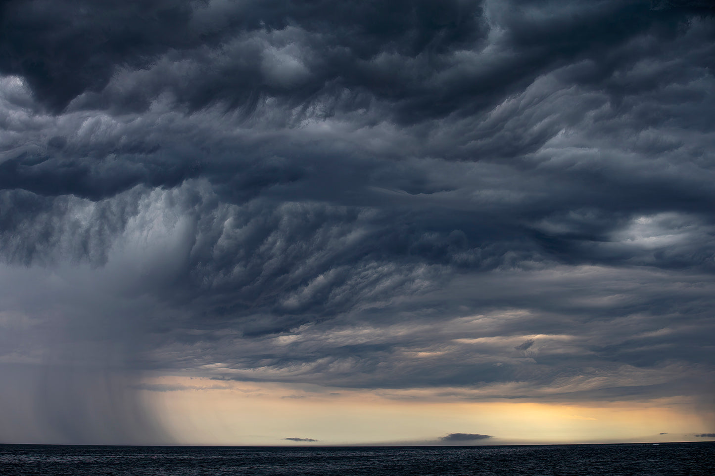 Special Walnut Framed 'Storm Warning' wildlife photographer of the year, fine art print, walnut frame