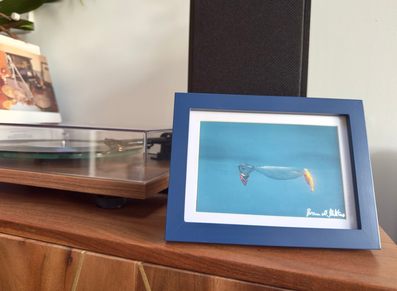 Don’t look down, signed puffin mini (A5) framed print