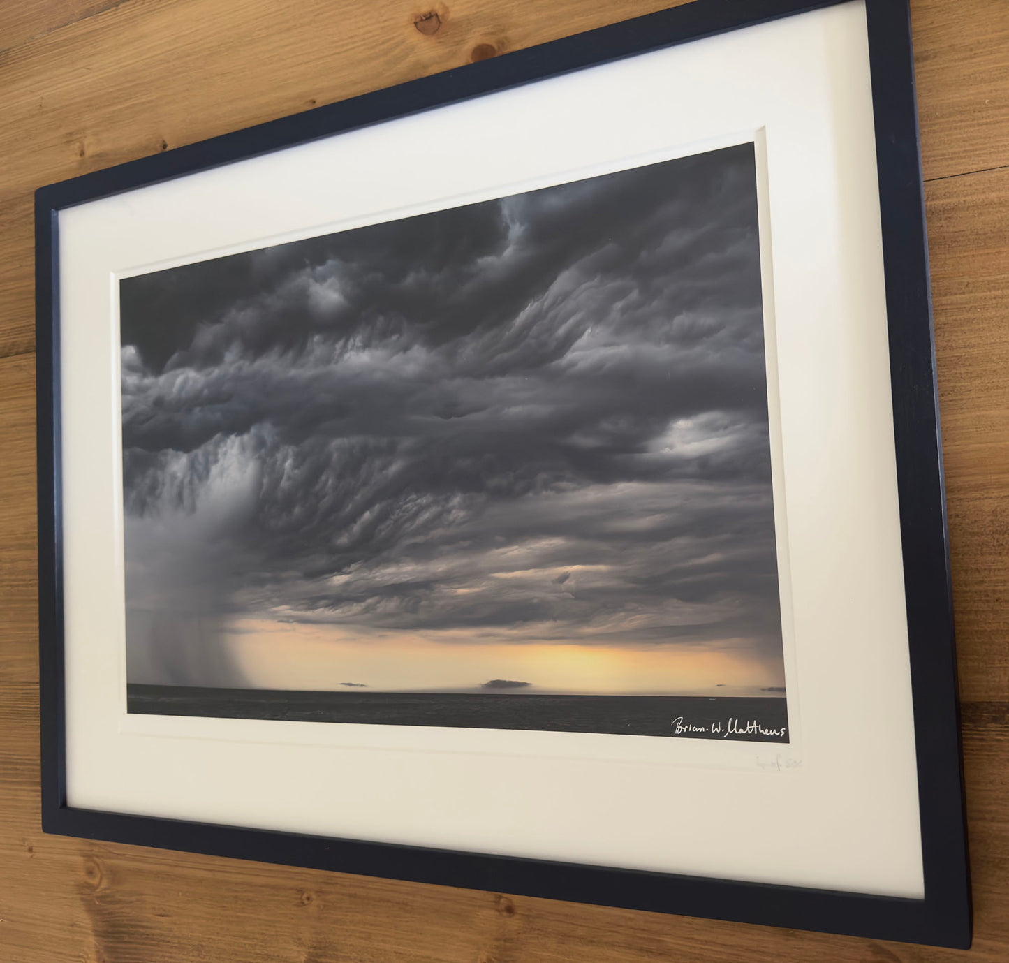 Special Blue Framed 'Storm Warning' wildlife photographer of the year, fine art print