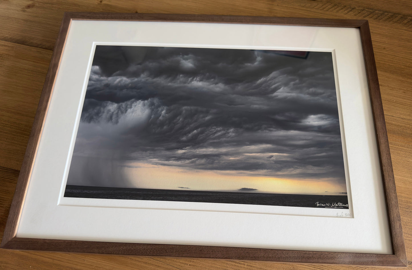 Special Walnut Framed 'Storm Warning' wildlife photographer of the year, fine art print, walnut frame