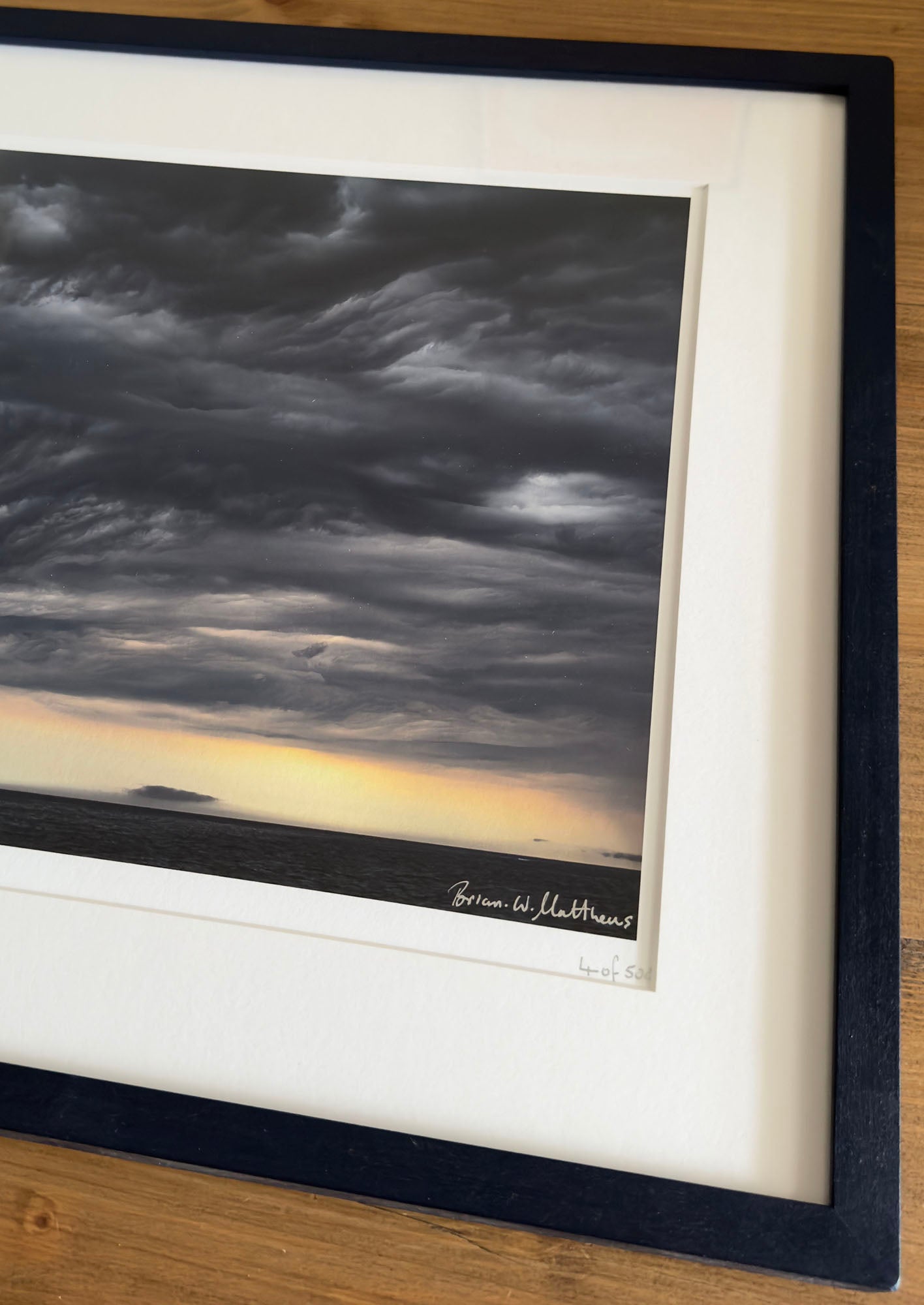 Special Blue Framed 'Storm Warning' wildlife photographer of the year, fine art print