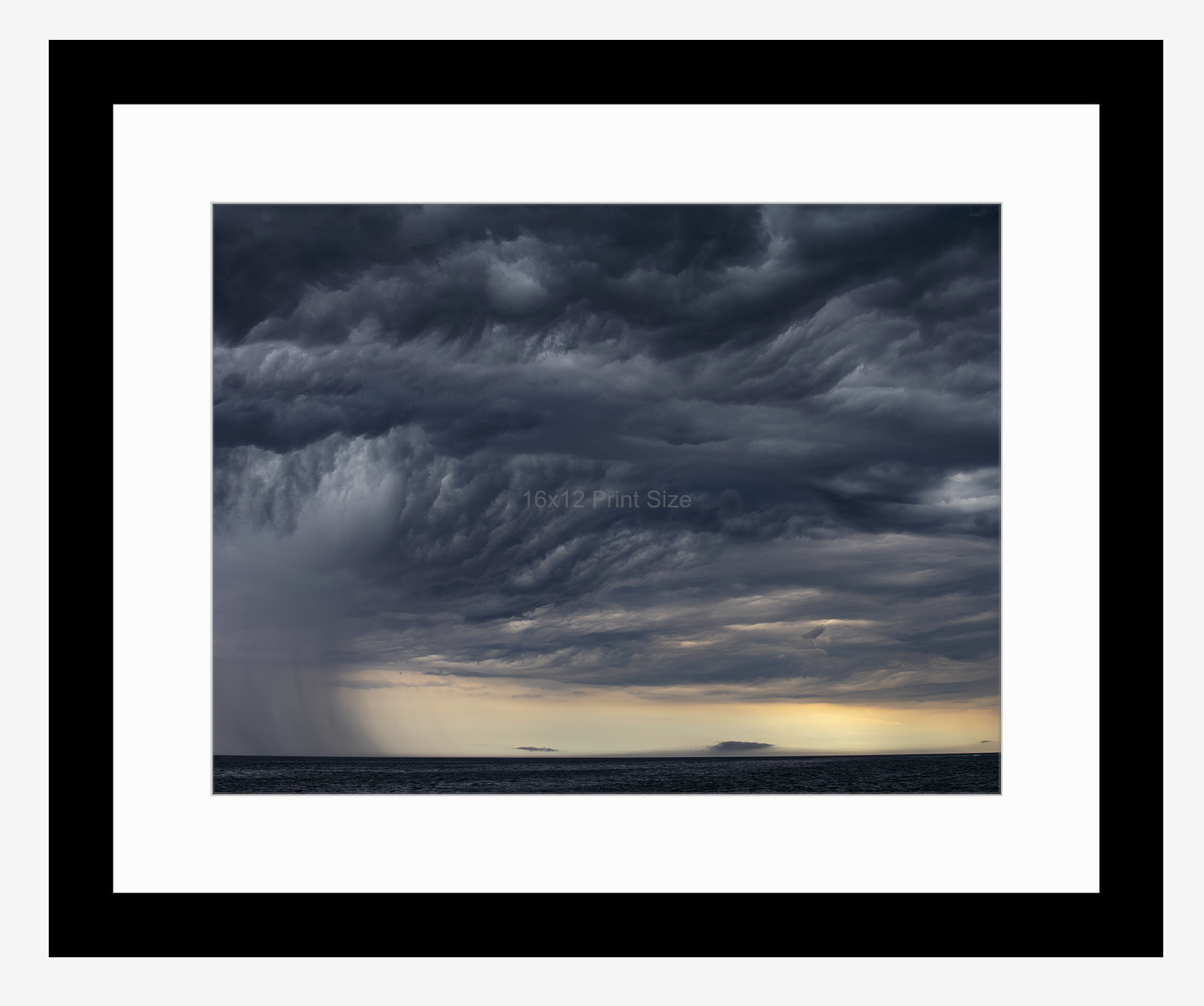 'Storm Warning' wildlife photographer of the year, fine art print