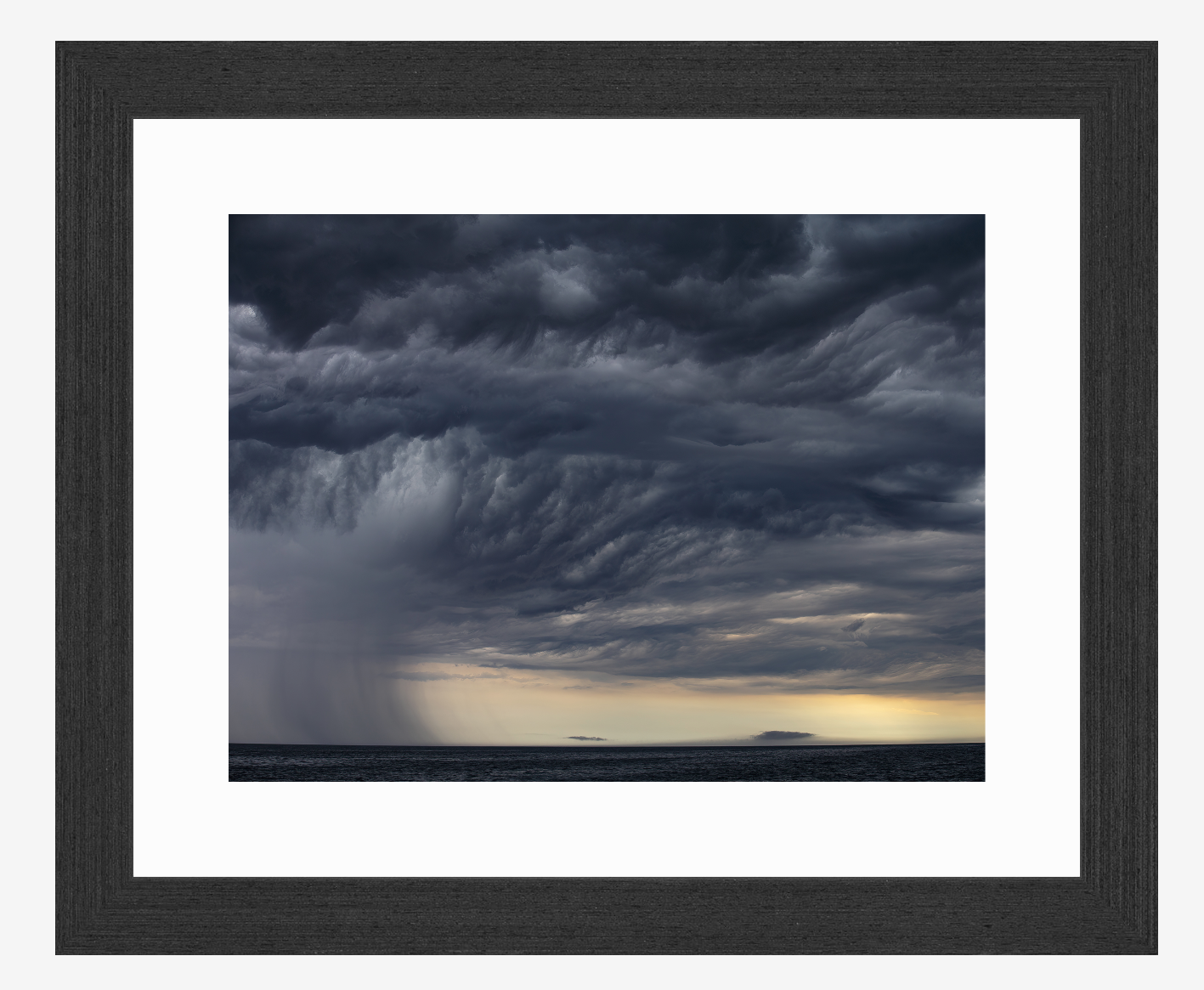 'Storm Warning' wildlife photographer of the year, fine art print