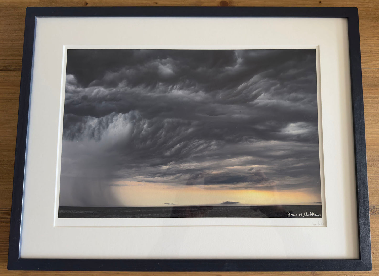 Special Blue Framed 'Storm Warning' wildlife photographer of the year, fine art print